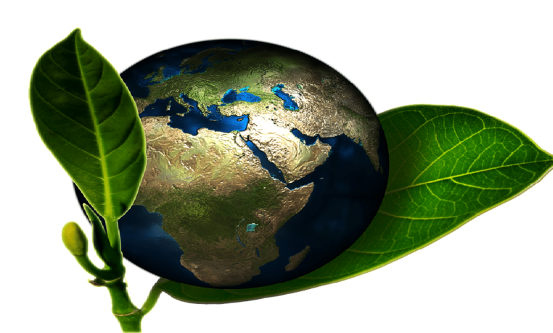 Día Mundial del Medio Ambiente 2025; por qué se celebra el 5 de junio