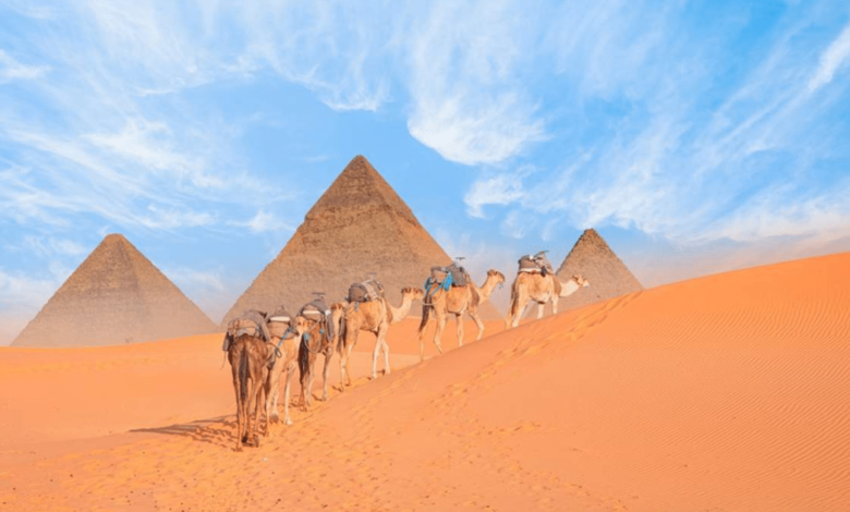 Egipto moderniza la experiencia en las pirámides turismo récord, mejoras y críticas al maltrato animal