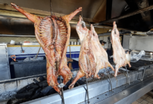 El cabrito_ una tradición que nació en San Luis Potosí, no en Monterrey