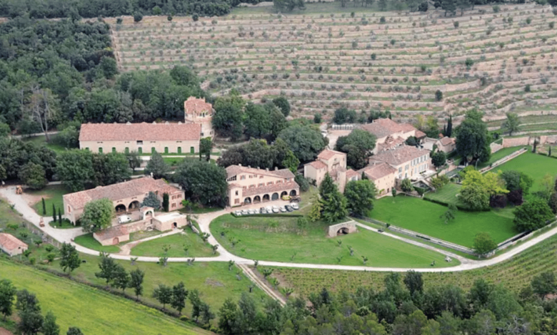 El viñedo de la discordia Brad Pitt y Angelina Jolie irán a juicio tras polémica venta (Foto por Getty Images)