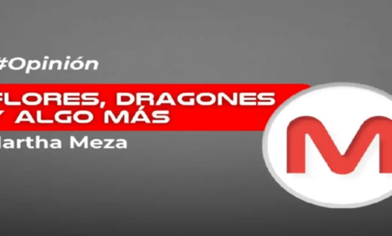 Flores, dragones y algo más… (1)