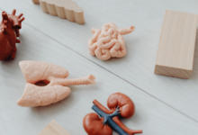 Microbiota