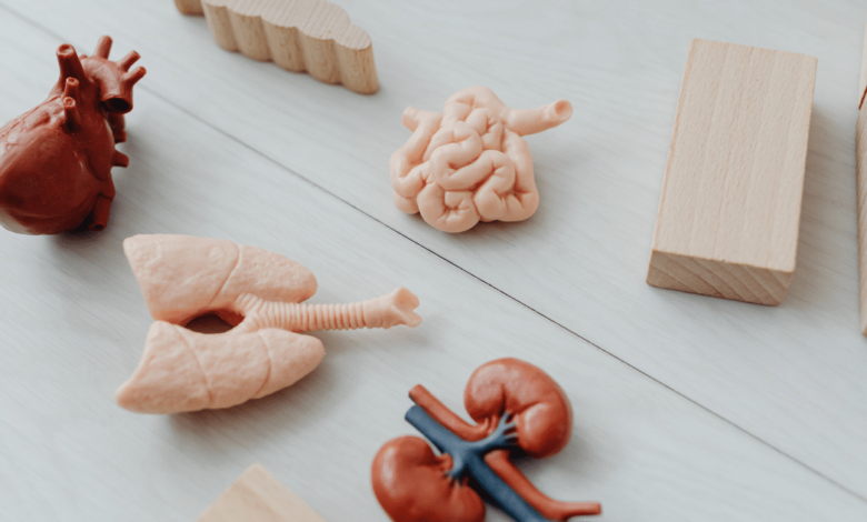 Microbiota