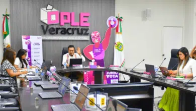 OPLE Veracruz faltan 15 consejos por computar resultados