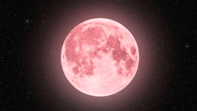 Luna de Fresa 2025 en México: ¿por qué se le llama así al fenómeno astronómico de junio?
