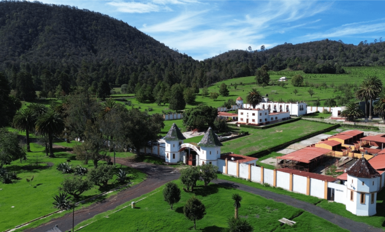 Rancho La Mesa Naturaleza, pulque y descanso a solo dos horas de CDMX