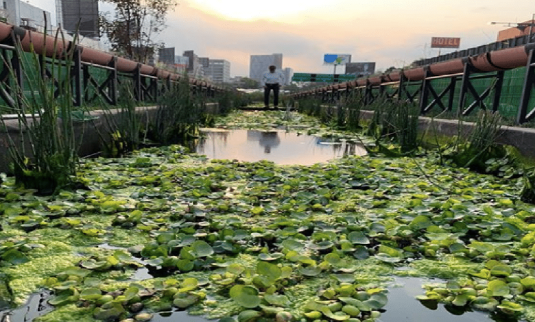 Río de la Piedad_ un oasis oculto entre los cañones de Michoacán