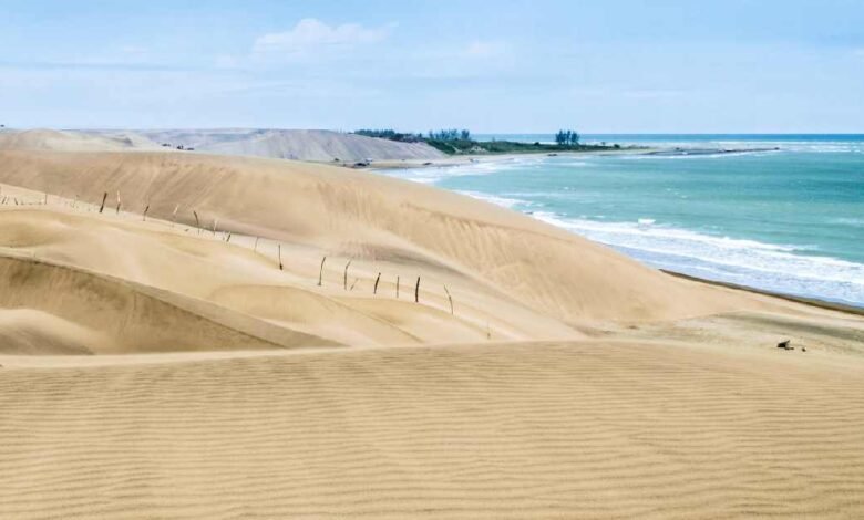 ¿Cómo llegar a Playa de Chachalacas desde el puerto de Veracruz? (Foto de internet)