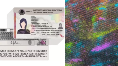Cambios en la credencial para votar INE prevé nuevas medidas de seguridad