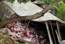 Accidente de camión refresquero en tramo a Catemaco desata caos (Foto de internet)