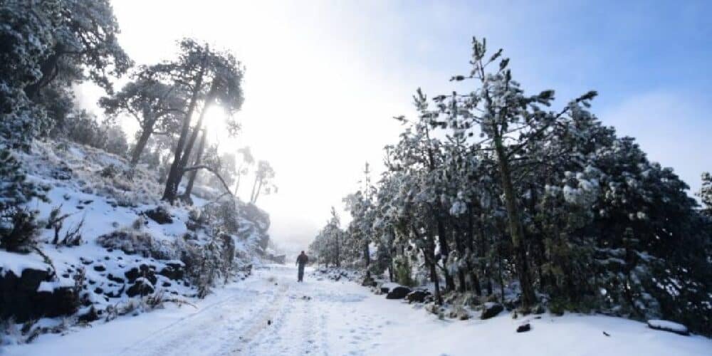 Nieve en Veracruz: ¿Dónde ver este espectáculo natural? (Foto de internet)