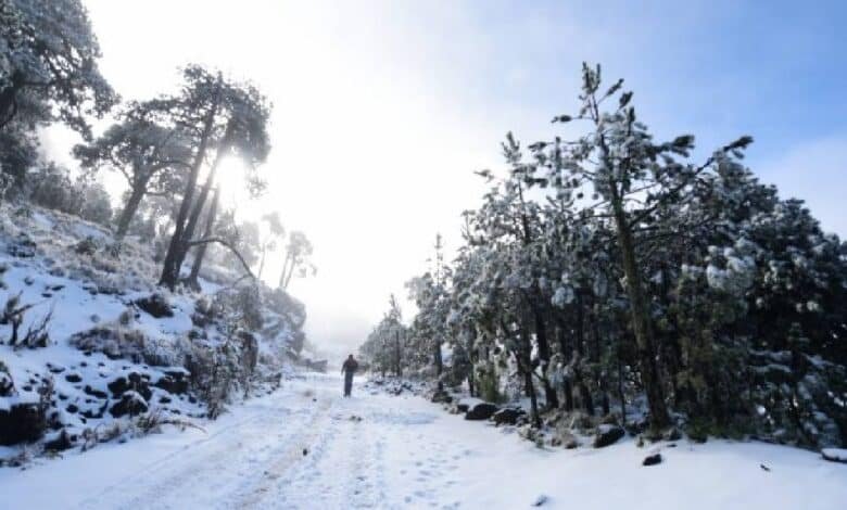Nieve en Veracruz: ¿Dónde ver este espectáculo natural? (Foto de internet)
