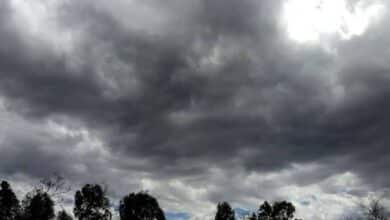 Clima en Veracruz: ¿A qué hora lloverá este jueves en el estado? (Foto de internet)