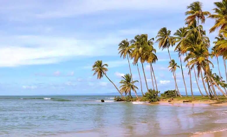 3 playas de Veracruz perfectas las Vacaciones de Verano 2025 (Foto de internet)