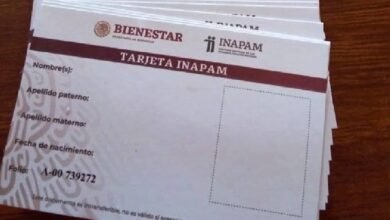 ¿Adultos mayores deben renovar credencial INAPAM en agosto 2025? (Foto de internet)