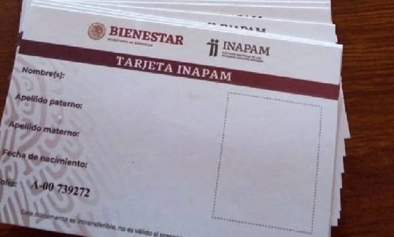 ¿Adultos mayores deben renovar credencial INAPAM en agosto 2025? (Foto de internet)