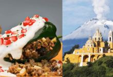 Puebla alcanza 90 % de ocupación hotelera gracias a la temporada del Chile en Nogada