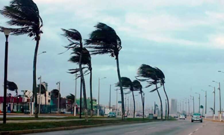 Clima en Veracruz: ¿A qué hora lloverá este martes? (Foto de internet)