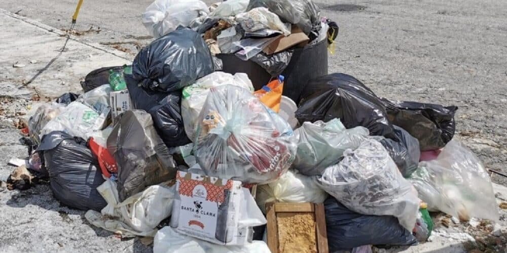 Comerciantes piden más botes de basura en Malecón de Veracruz (Foto de internet)