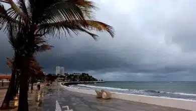 Clima en Veracruz hoy: será un jueves lluvioso en estos municipios (Foto de internet)