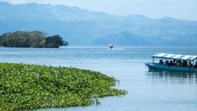 ¿Cuánto cuesta el paseo por la laguna de Catemaco? (Foto de internet)