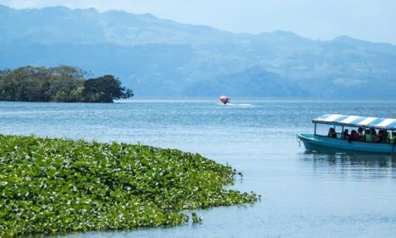 ¿Cuánto cuesta el paseo por la laguna de Catemaco? (Foto de internet)
