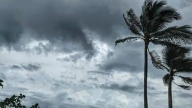 Clima en Veracruz hoy: lluvias fuertes en gran parte del estado (Foto de internet)