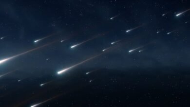 Lluvia de estrellas Perseidas: último día para verlas en Veracruz (Foto de internet)