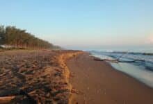 Playa Villamar de Tuxpan, paraíso escondido de Veracruz (Foto de internet)