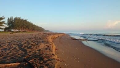 Playa Villamar de Tuxpan, paraíso escondido de Veracruz (Foto de internet)