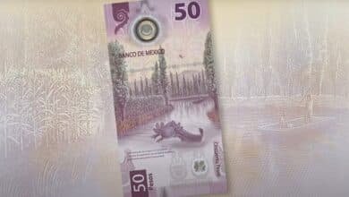 Más de 10 millones de pesos guardados en billetes de Ajolote (Foto de internet)