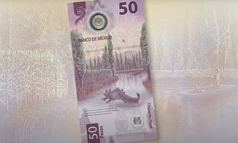 Más de 10 millones de pesos guardados en billetes de Ajolote (Foto de internet)