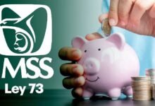 Ley 73 del IMSS: ¿Cuáles son los beneficios de este régimen? (Foto de internet)