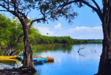 Laguna de Nachi Cocom secreto sagrado de la selva en Yucatán
