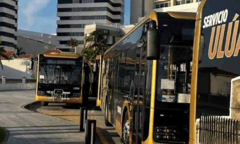 Nuevos camiones Ulúa modernizan el transporte público en Veracruz (Foto de internet)