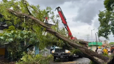 Afectaciones en Veracruz por el frente frío 13