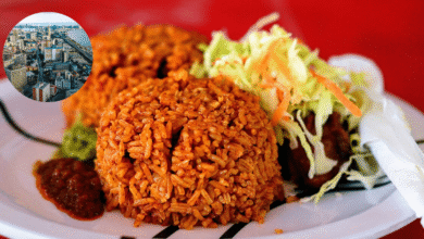 Jollof Rice El Rey Rojo que domina la mesa de Navidad en Nigeria y une a África Occidental (Foto por Terver - stock.adobe.com)