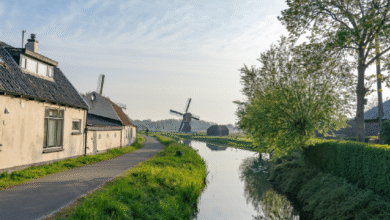 El Ayuntamiento ratifica que no habrá actualizaciones catastrales el próximo año y simplifica trámites mediante reformas a la Ley de Hacienda.