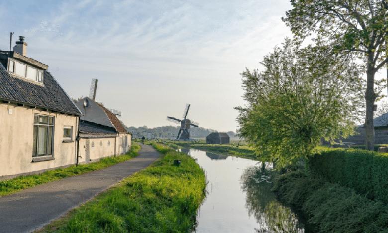 El Ayuntamiento ratifica que no habrá actualizaciones catastrales el próximo año y simplifica trámites mediante reformas a la Ley de Hacienda.