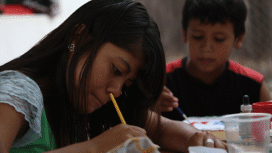 San Andrés Tuxtla lidera el analfabetismo en Veracruz