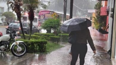 Frente frío num.16 genera alerta en Veracruz (Foto de internet)