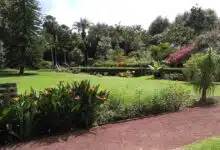 Jardín Botánico Francisco Javier Clavijero: pulmón verde de Xalapa (Foto de internet)