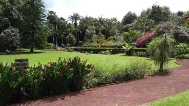 Jardín Botánico Francisco Javier Clavijero: pulmón verde de Xalapa (Foto de internet)