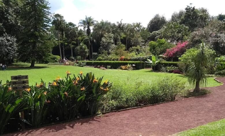 Jardín Botánico Francisco Javier Clavijero: pulmón verde de Xalapa (Foto de internet)