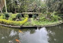 Parque Los Tecajetes, un recinto con más de 50 años de historia en Xalapa (Foto de internet)