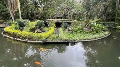 Parque Los Tecajetes, un recinto con más de 50 años de historia en Xalapa (Foto de internet)