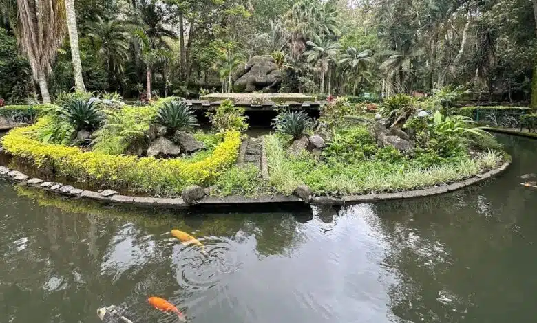 Parque Los Tecajetes, un recinto con más de 50 años de historia en Xalapa (Foto de internet)
