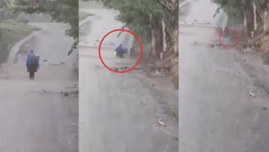 VIDEO: Hombre y su caballo mueren al ser arrastrados por la corriente en Ángel R. Cabada