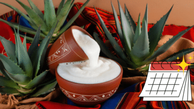 Día del Pulque ya es oficial: ¿Cuándo se festeja? (Foto- Canva Ilustración)
