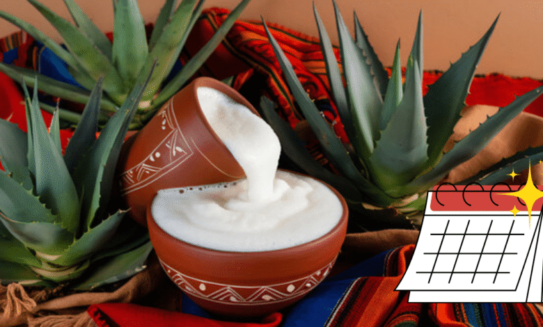 Día del Pulque ya es oficial: ¿Cuándo se festeja? (Foto- Canva Ilustración)